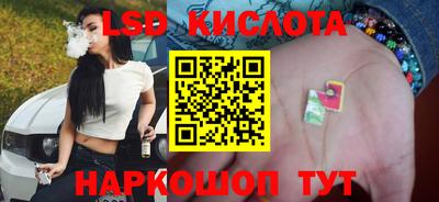 mdpv Рыбинск