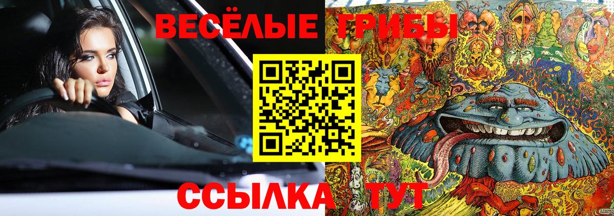 Рыбинск  Псилоцибиновые грибы мицелий  купить  цена  Вход с VPN 