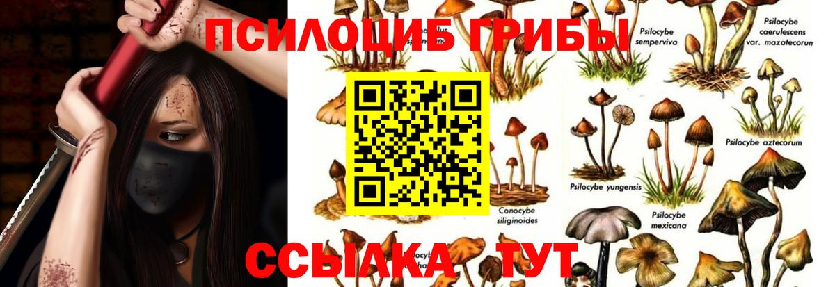 Галлюциногенные грибы Psilocybine cubensis Рыбинск